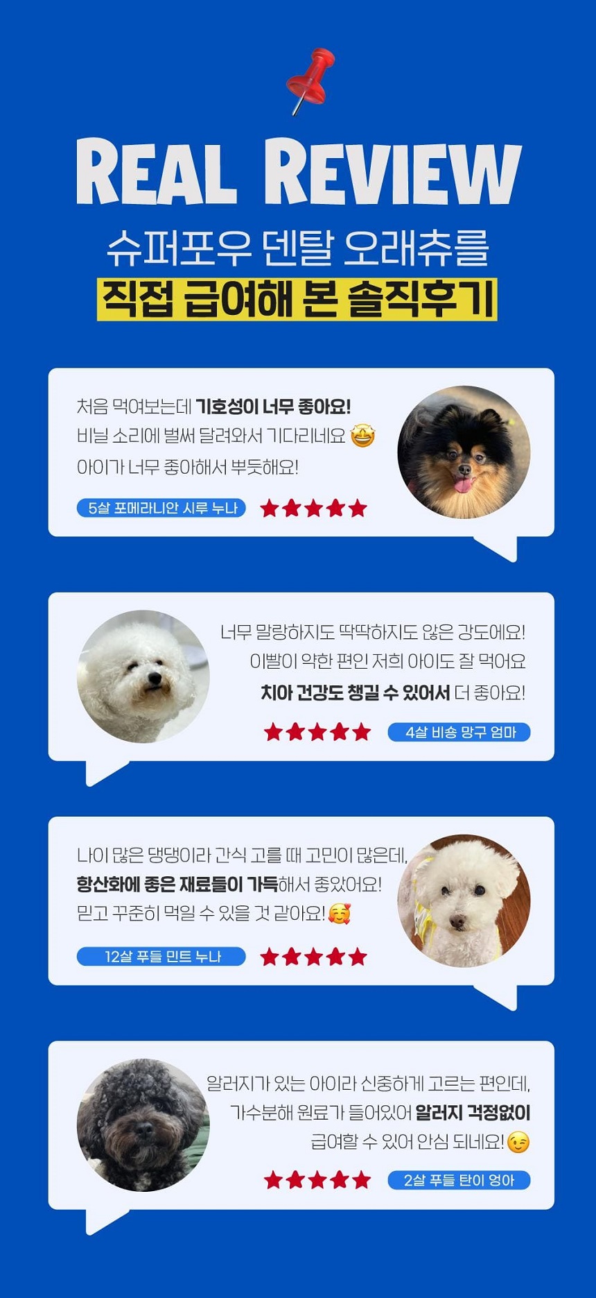 슈퍼포우 독 덴탈 오래츄 L 10P 1번째