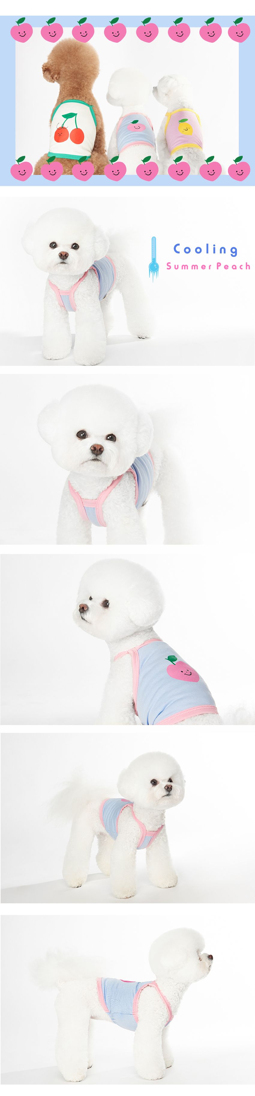 [무료배송] 위드토리 쿨링 썸머 크롭 티셔츠 블루 S-2XL 1번째