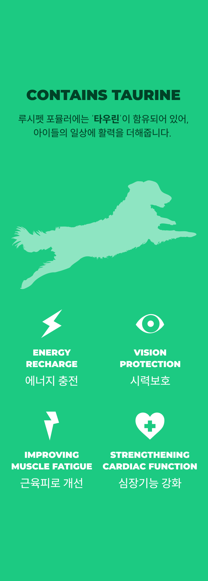 [NEW신상][무료배송] 루시펫 독 베지테리안 2.27kg 5번째