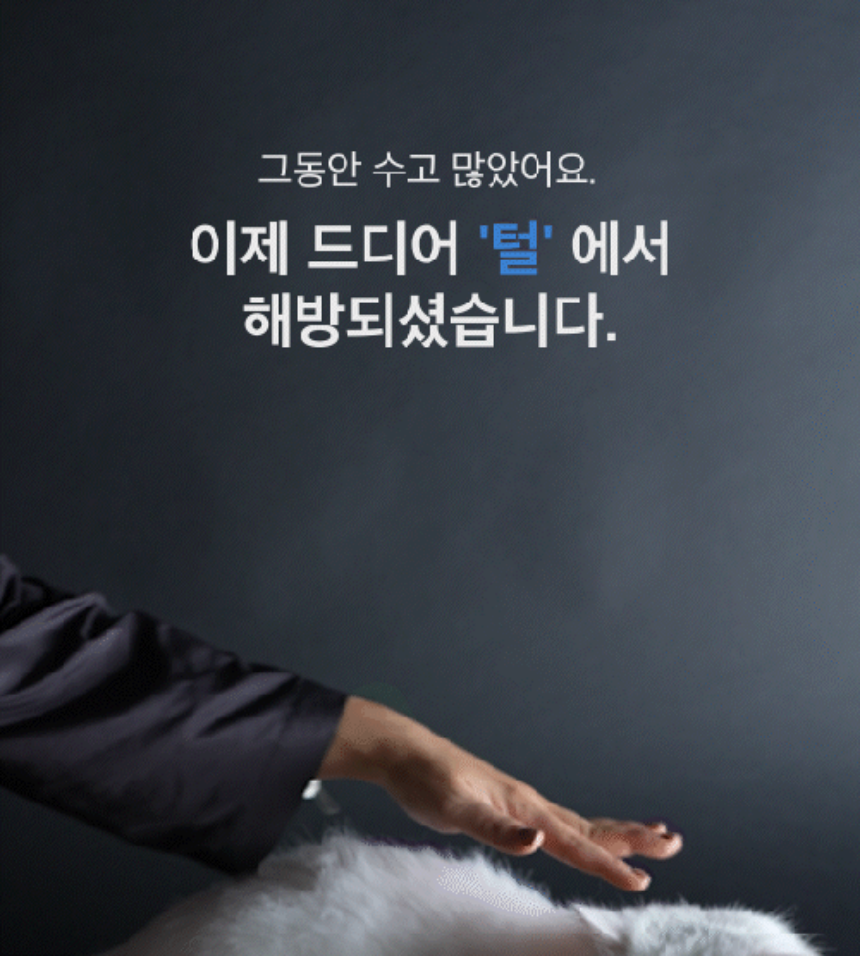 [NEW신상][무료배송] 댄스온더플로어 털 안 붙는 퍼리스(fur less) 파자마 5번째