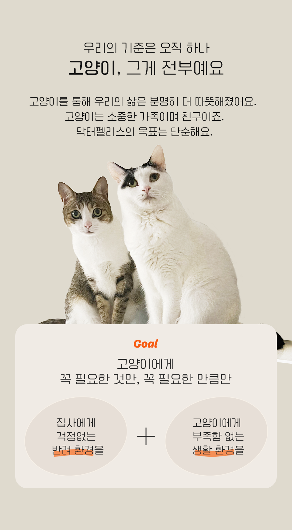[NEW신상]닥터펠리스 포캣트릿 Solution 헤어볼 영양제 30g 16번째