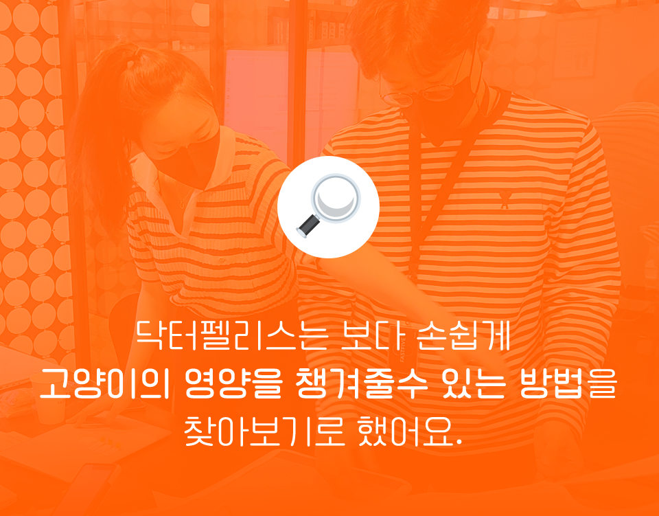 [NEW신상]닥터펠리스 포캣트릿 Solution 헤어볼 영양제 30g 1번째