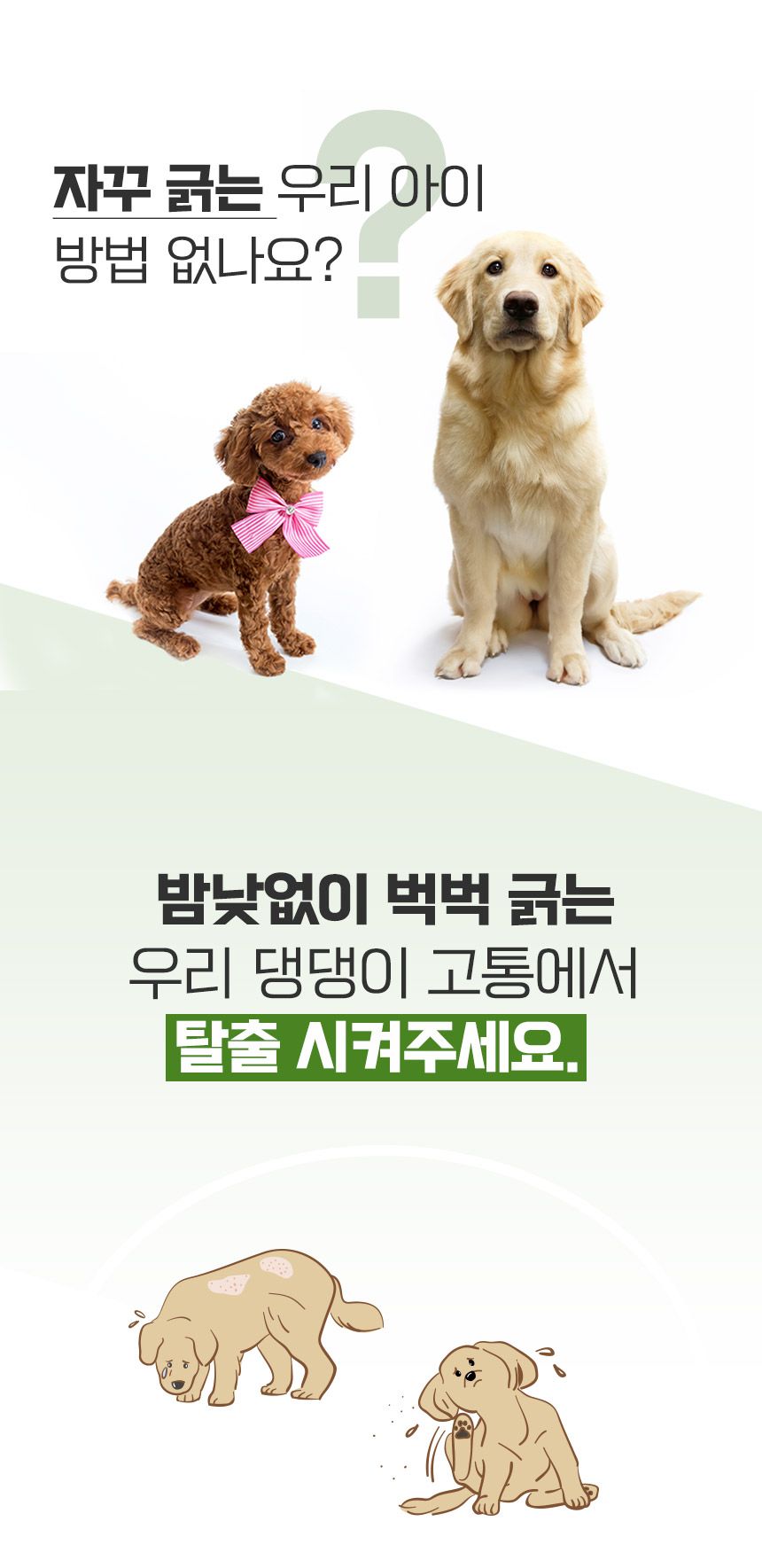 [무료배송] 비알머드 릴리프 머드 샴푸 포 도그스 500ml 1번째