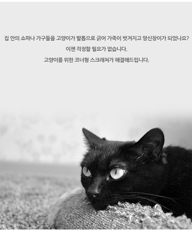 [무료배송] 쏘울펫 코너형 스크래쳐 리필 패드 11번째