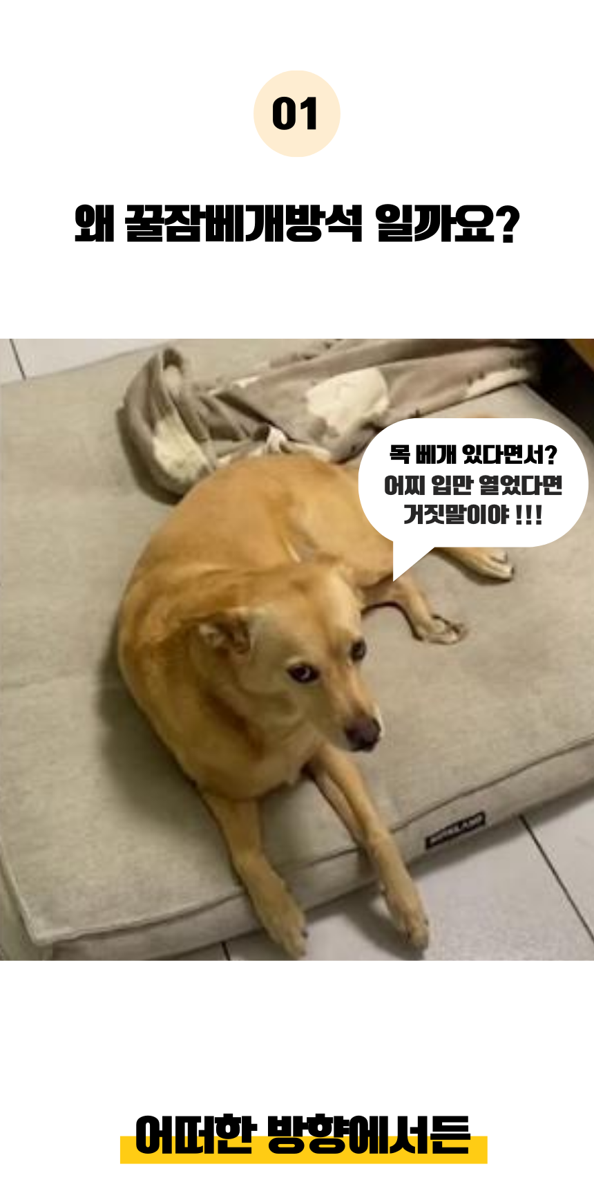 [NEW신상][무료배송] 펫앤마마 마약방석 3종 (더스티블루/로즈브라운/딥옐로우) M~2XL 4번째 상세 이미지