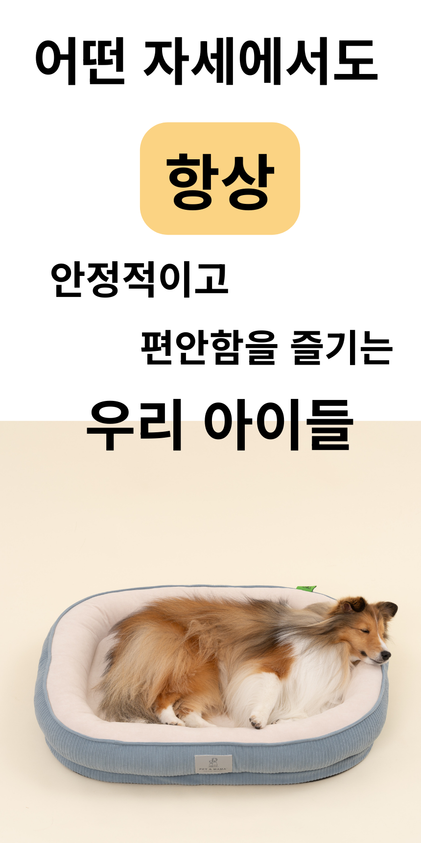 [NEW신상][무료배송] 펫앤마마 마약방석 3종 (더스티블루/로즈브라운/딥옐로우) M~2XL 15번째 상세 이미지