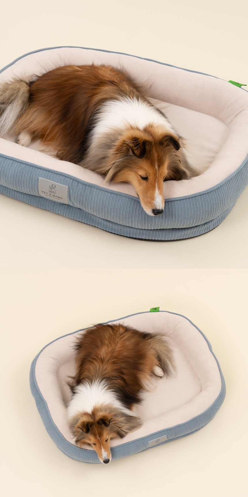 [NEW신상][무료배송] 펫앤마마 마약방석 3종 (더스티블루/로즈브라운/딥옐로우) M~2XL 16번째 상세 이미지