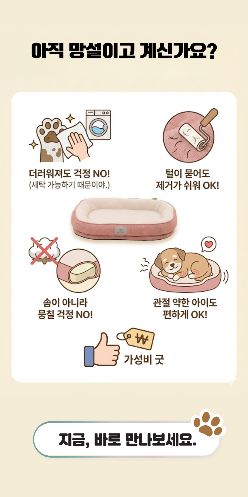 [NEW신상][무료배송] 펫앤마마 마약방석 3종 (더스티블루/로즈브라운/딥옐로우) M~2XL 19번째 상세 이미지