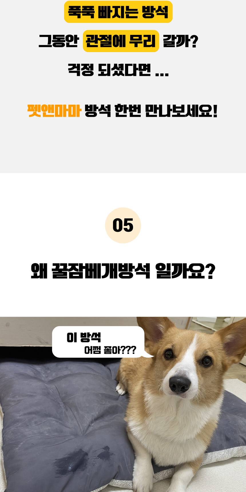 [NEW신상][무료배송] 펫앤마마 마약방석 3종 (더스티블루/로즈브라운/딥옐로우) M~2XL 11번째 상세 이미지