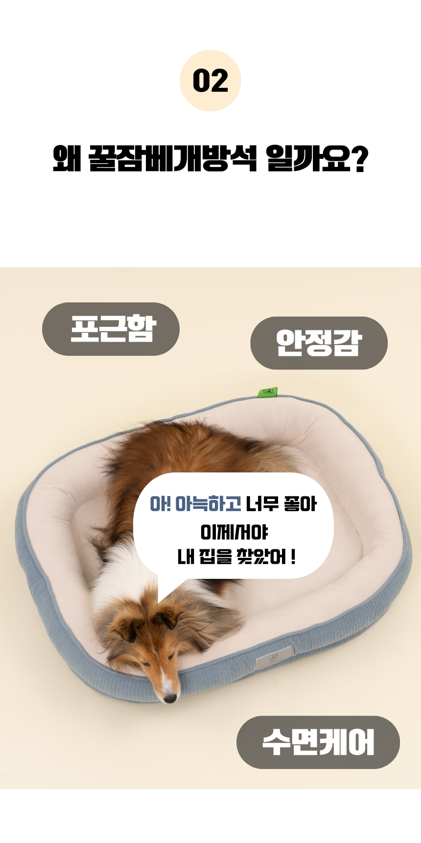 [NEW신상][무료배송] 펫앤마마 마약방석 3종 (더스티블루/로즈브라운/딥옐로우) M~2XL 6번째 상세 이미지