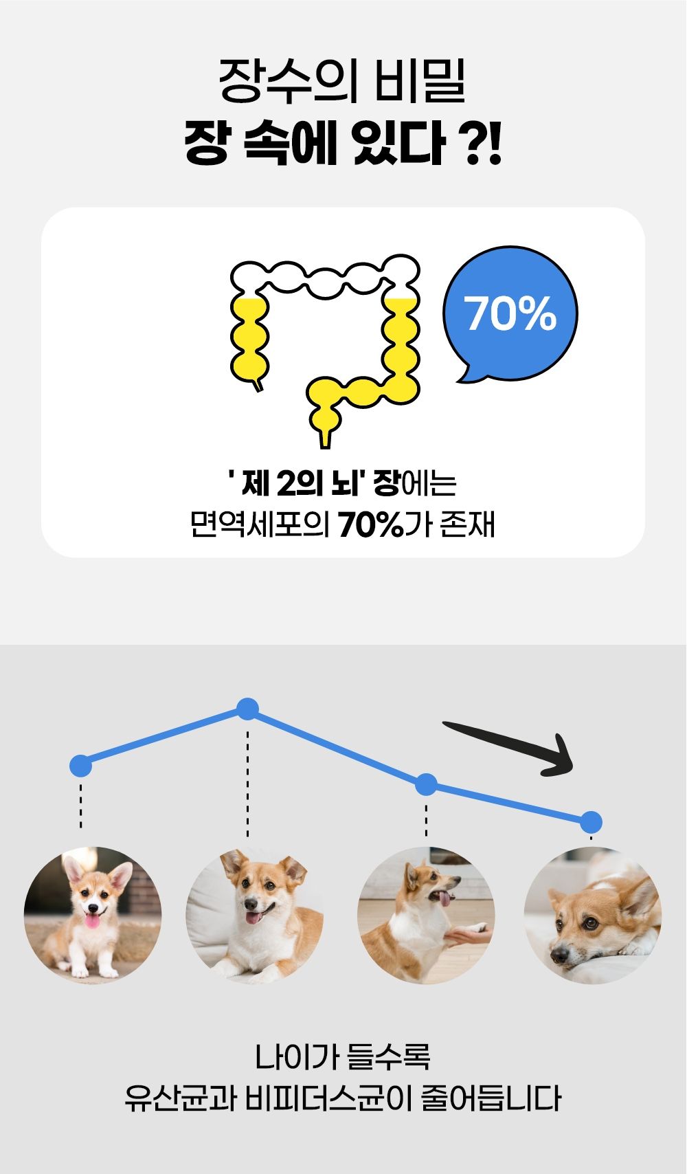 닥터맘마 시니어 프로바이오틱스 2g*30개 4번째