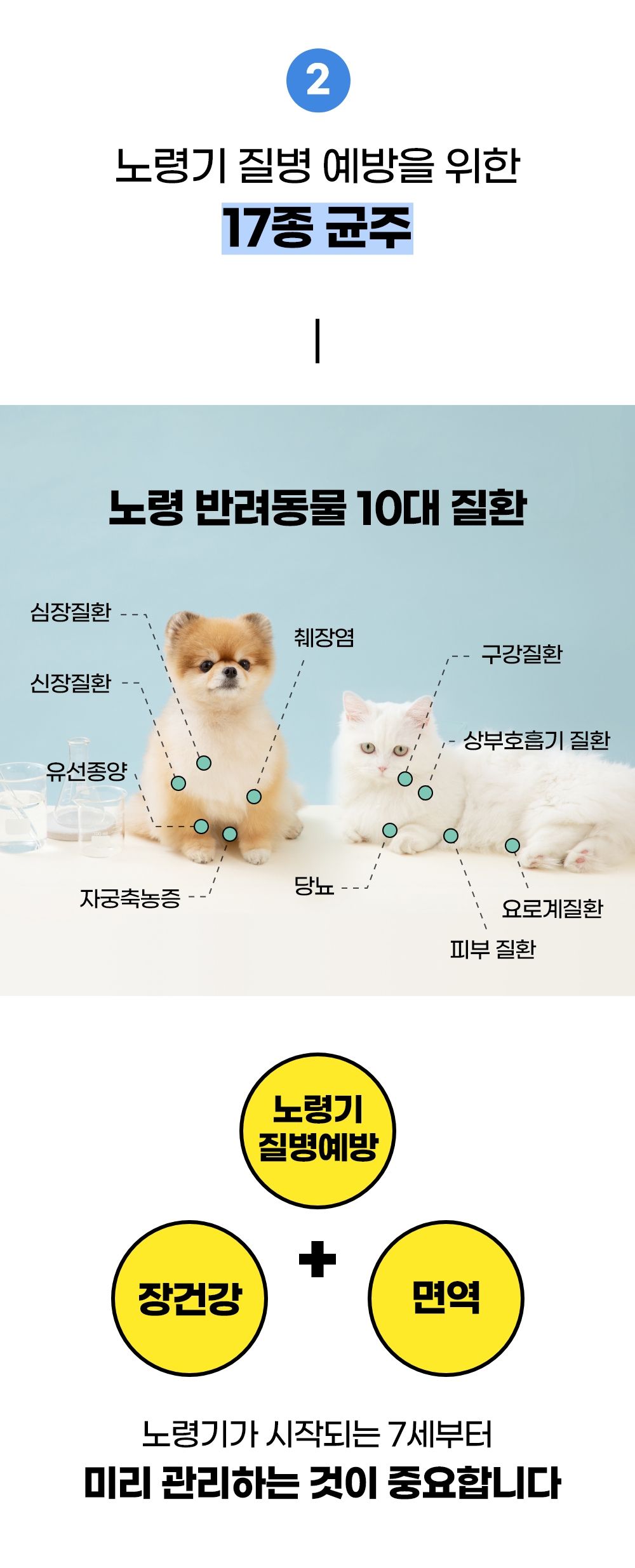 닥터맘마 시니어 프로바이오틱스 2g*30개 12번째