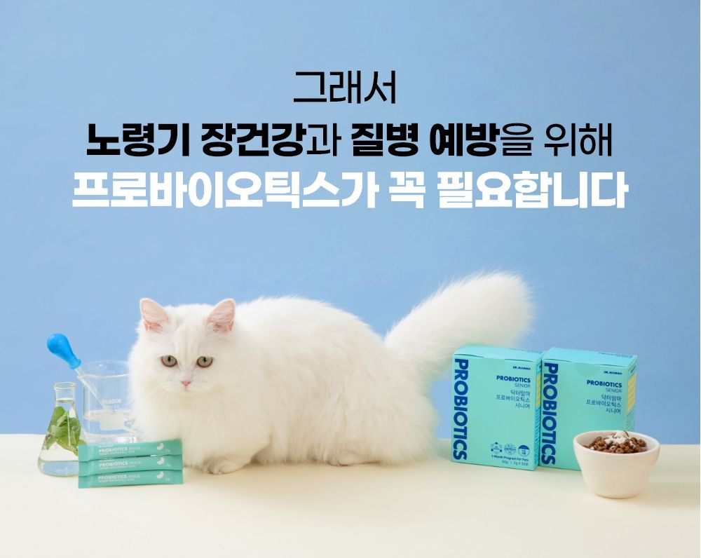 닥터맘마 시니어 프로바이오틱스 2g*30개 5번째