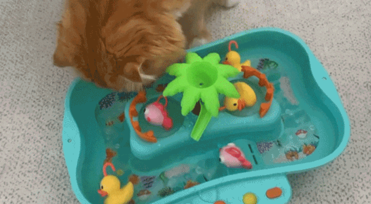 [무료배송] 체고케어 고양이 자동 장난감 움직이는 물고기 4color 9번째