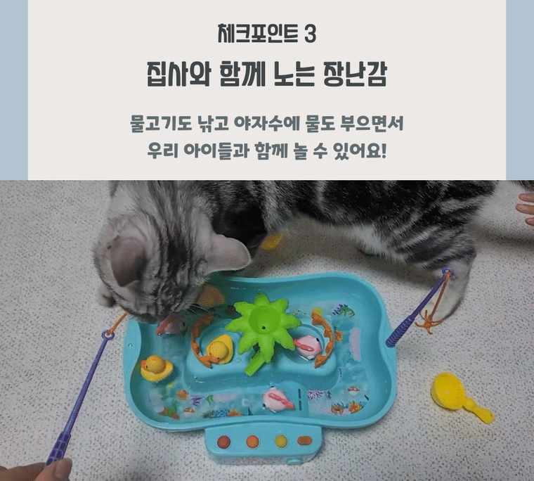 [무료배송] 체고케어 고양이 자동 장난감 움직이는 물고기 4color 20번째