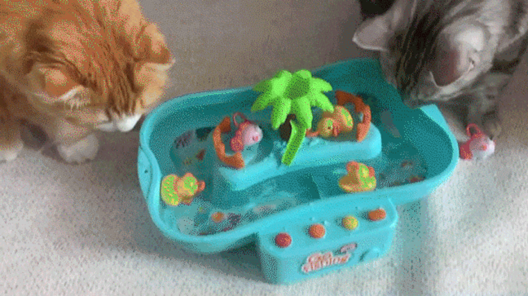 [무료배송] 체고케어 고양이 자동 장난감 움직이는 물고기 4color 15번째
