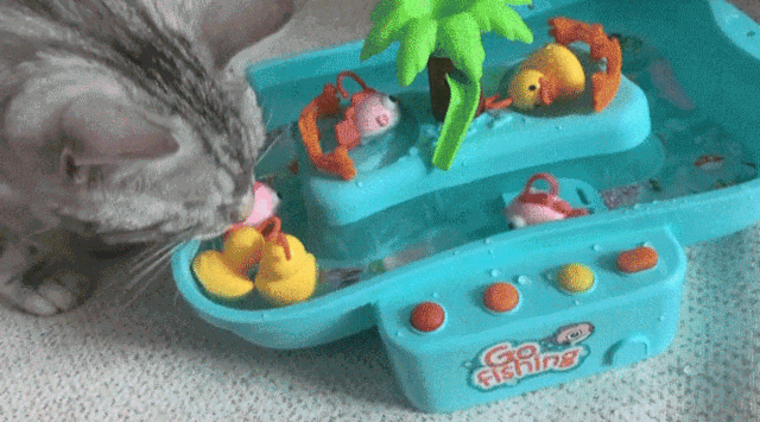 [무료배송] 체고케어 고양이 자동 장난감 움직이는 물고기 4color 8번째