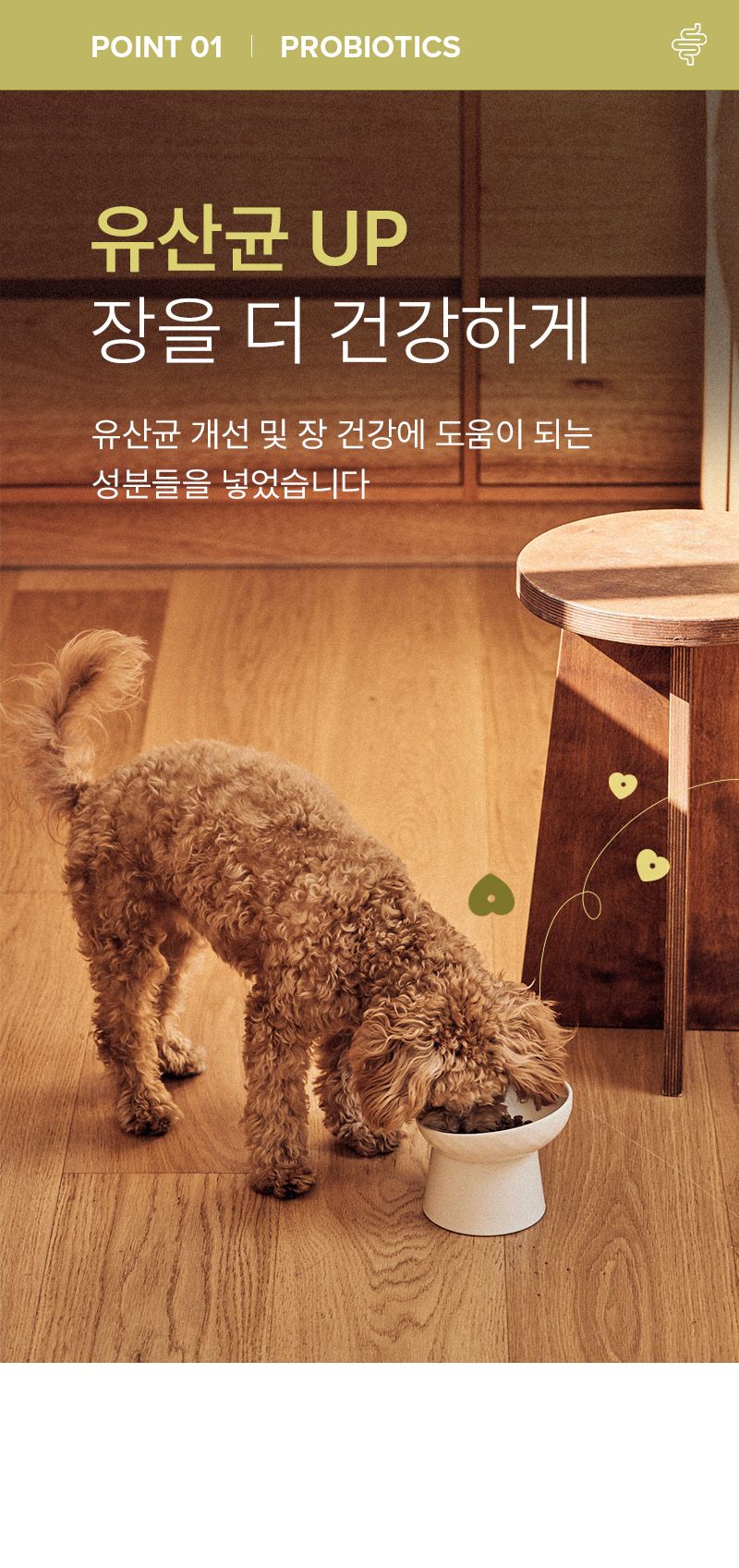 더마독 유산균 장 건강사료 2kg 2번째