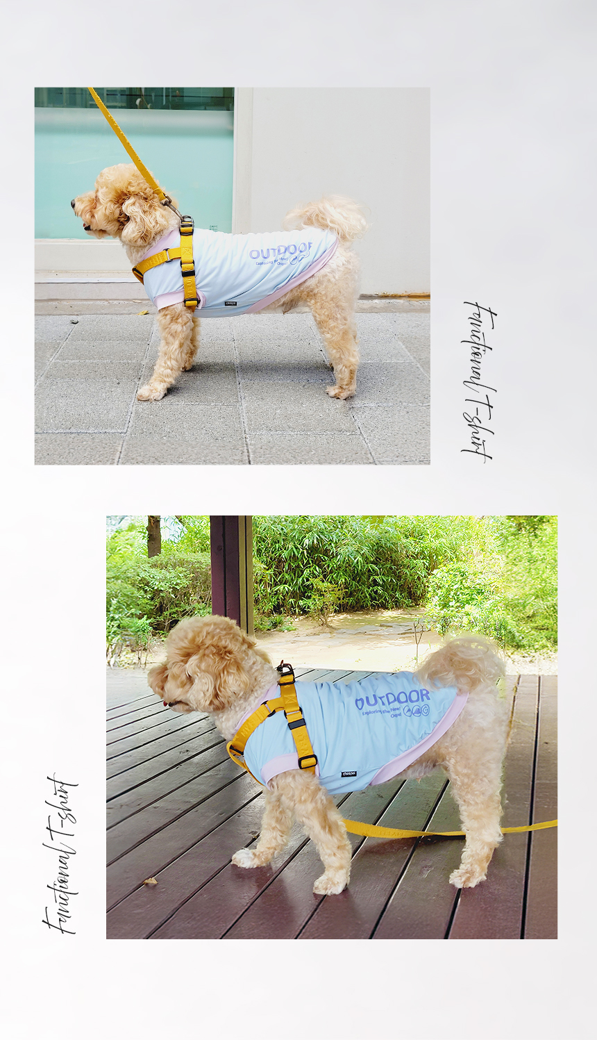 [무료배송] 레토 강아지 데일리 티셔츠 애견의류 고양이 옷 LDR-T04 16번째