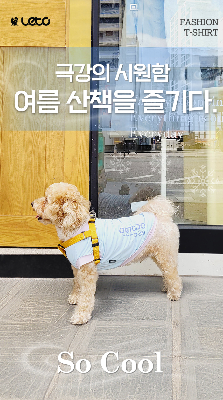 [무료배송] 레토 강아지 데일리 티셔츠 애견의류 고양이 옷 LDR-T04 3번째