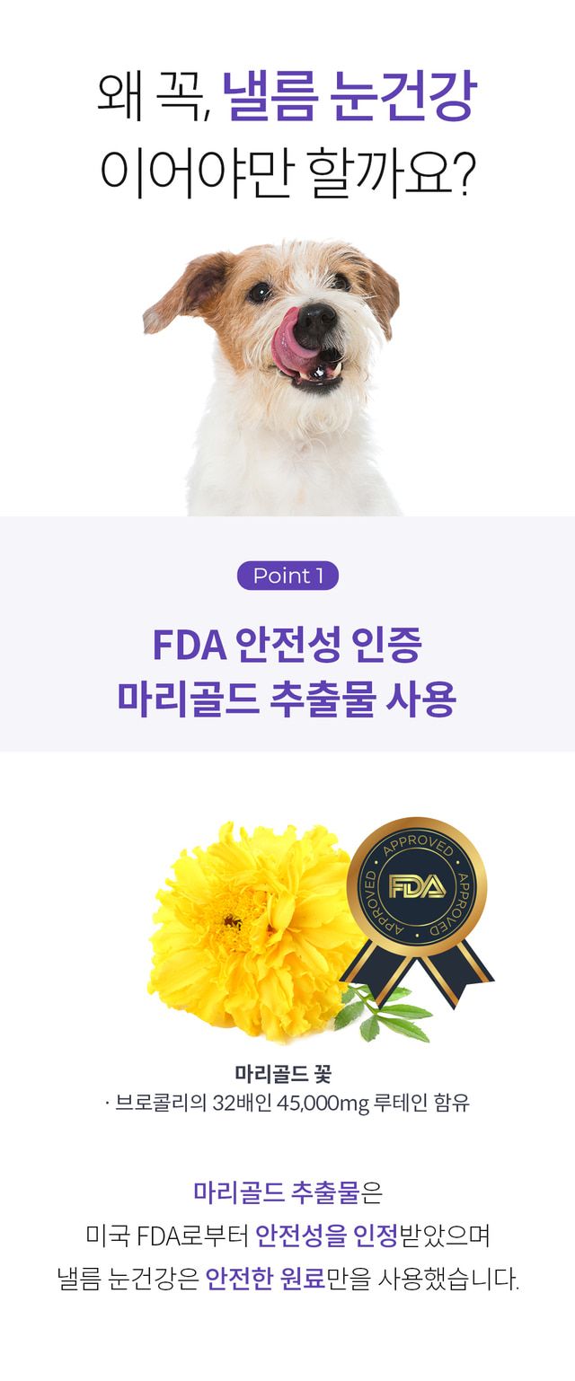 [추가증정] 미펫 낼름 눈 30매입 + 10매입 증정 5번째