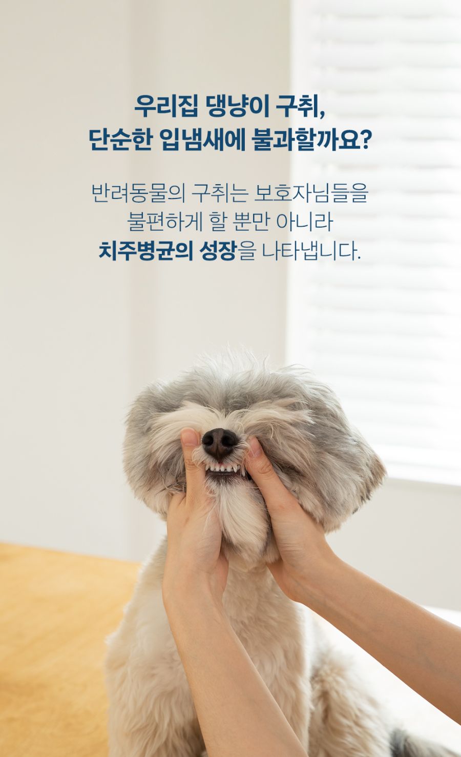 조공 이지 케어 데일리 프레쉬 30g 23번째
