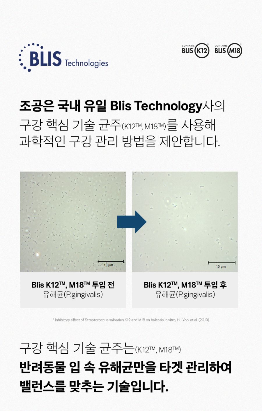 조공 이지 케어 데일리 프레쉬 30g 4번째