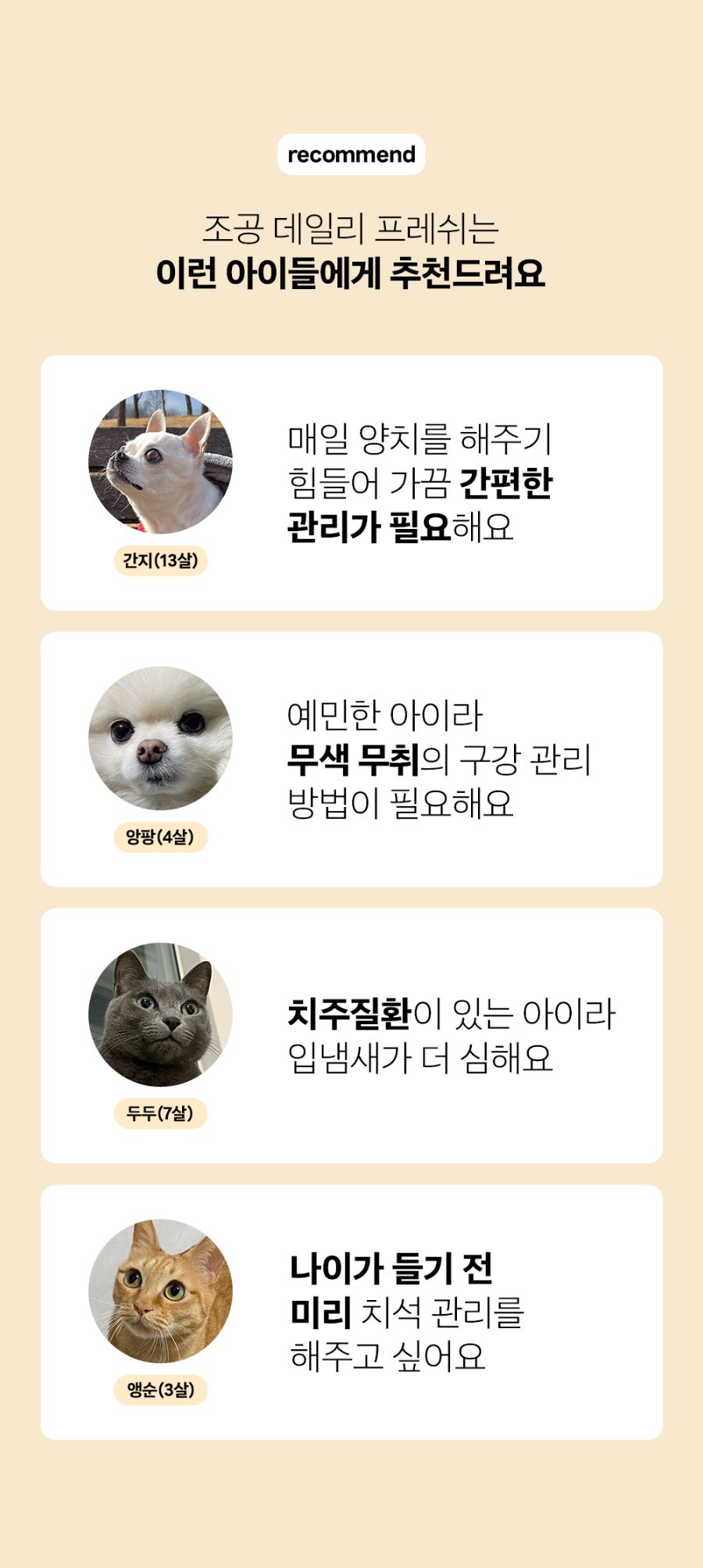 조공 이지 케어 데일리 프레쉬 30g 12번째
