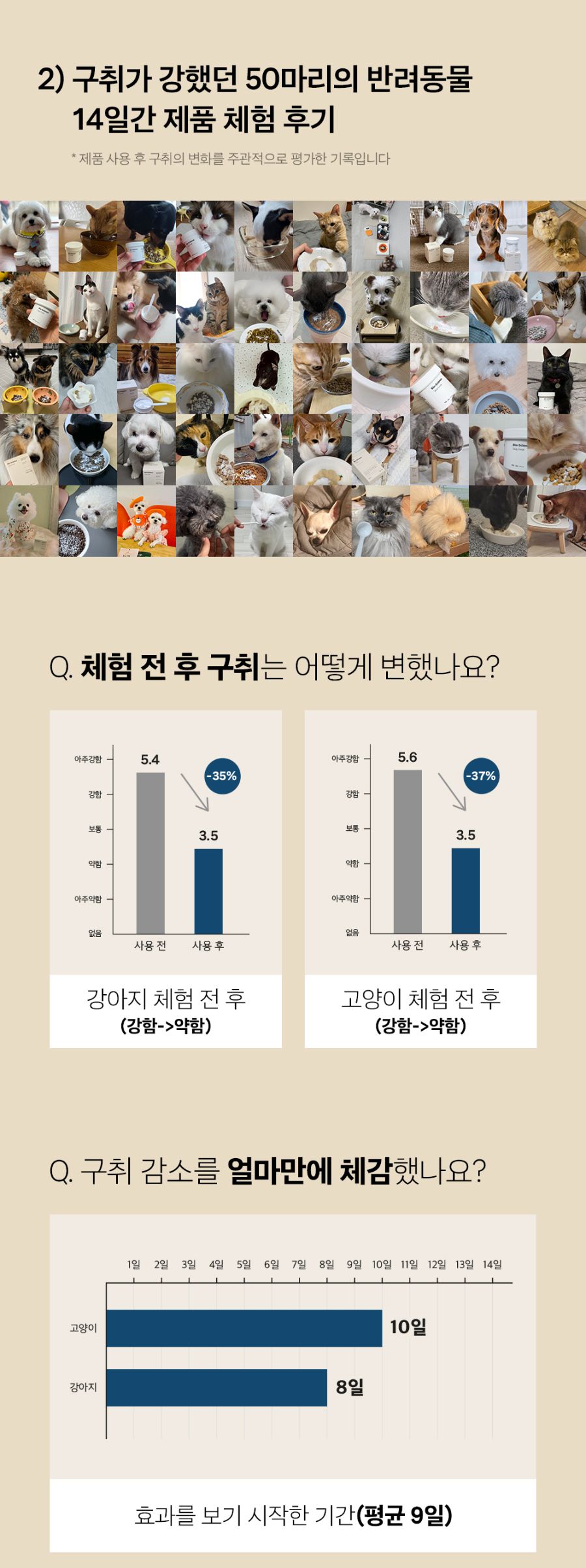 조공 이지 케어 데일리 프레쉬 30g 30번째