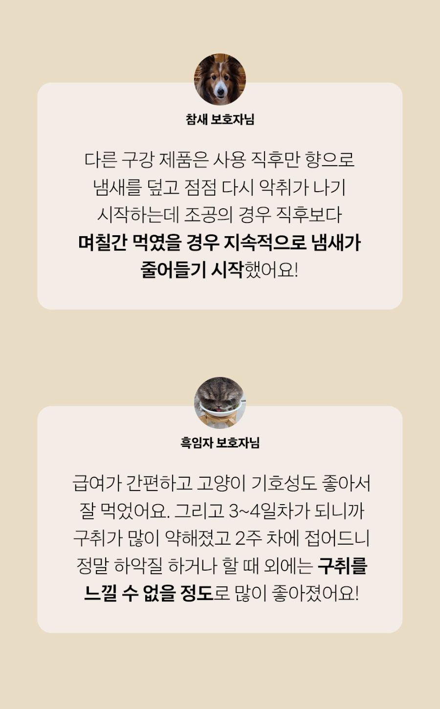조공 이지 케어 데일리 프레쉬 30g 31번째