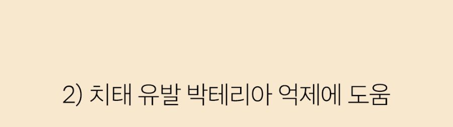 조공 이지 케어 데일리 프레쉬 30g 20번째