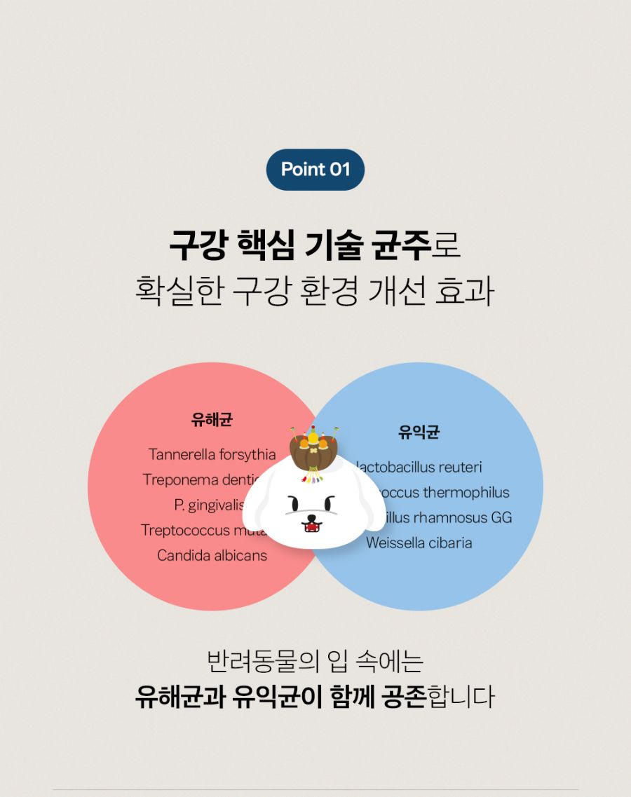 조공 이지 케어 데일리 프레쉬 30g 14번째
