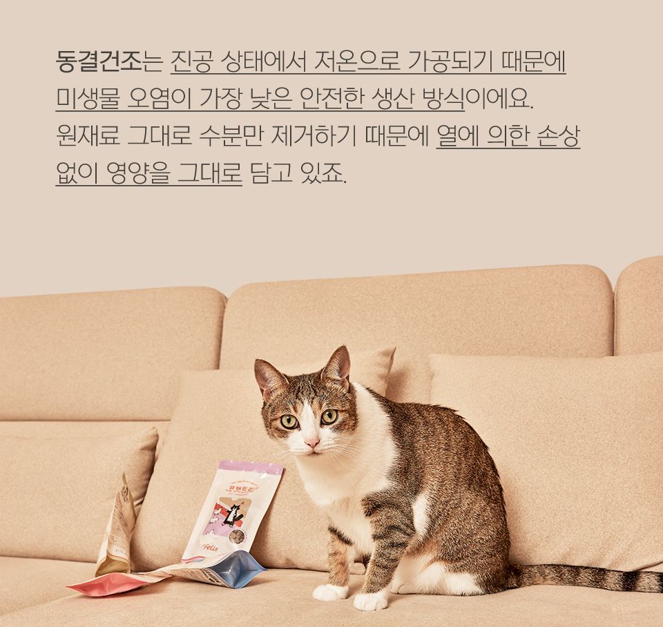 [브랜드전][1+1] 닥터펠리스 포캣트릿 북어 동결건조 간식 25g 9번째