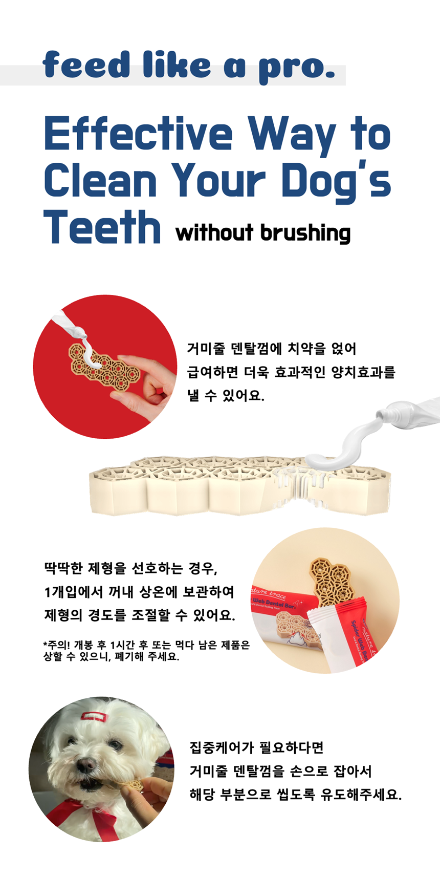 [NEW신상][무료배송] 네이처트레이스 독 스파이더웹 덴탈바 오리지널 20g*12ea 27번째