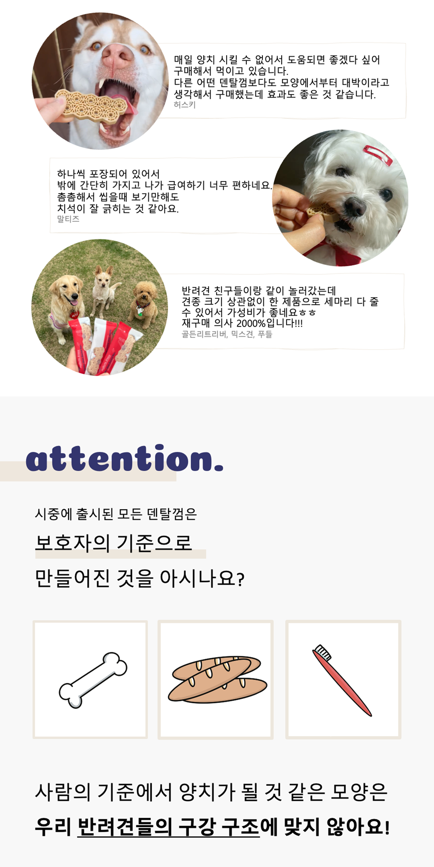 [NEW신상][무료배송] 네이처트레이스 독 스파이더웹 덴탈바 오리지널 20g*12ea 2번째