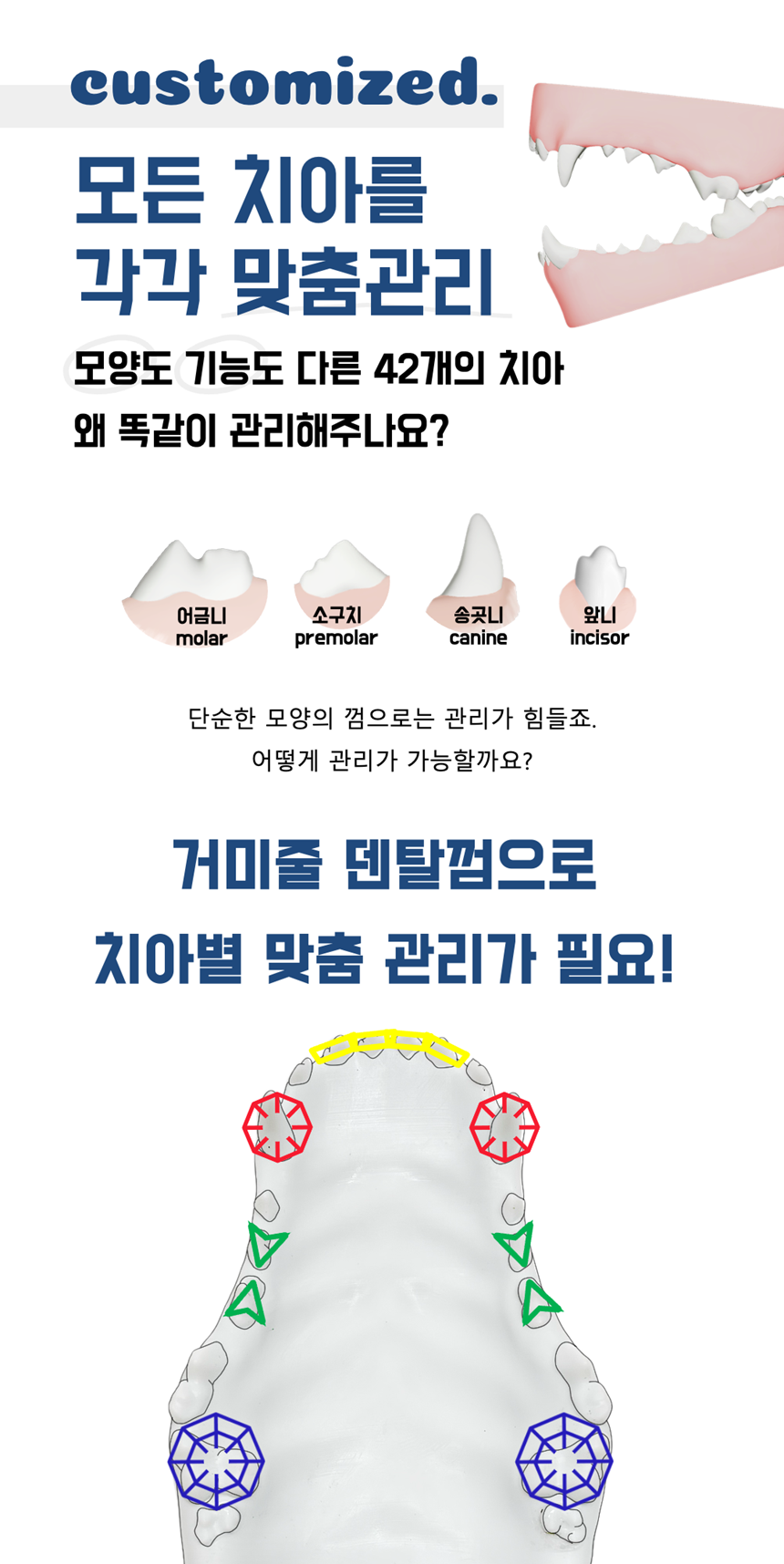 [NEW신상][무료배송] 네이처트레이스 독 스파이더웹 덴탈바 오리지널 20g*12ea 9번째