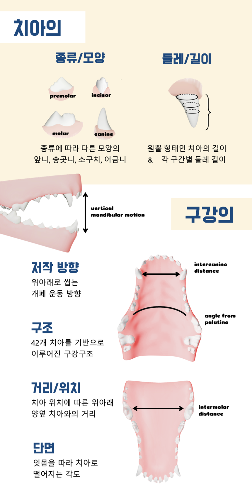 [NEW신상][무료배송] 네이처트레이스 독 스파이더웹 덴탈바 오리지널 20g*12ea 4번째