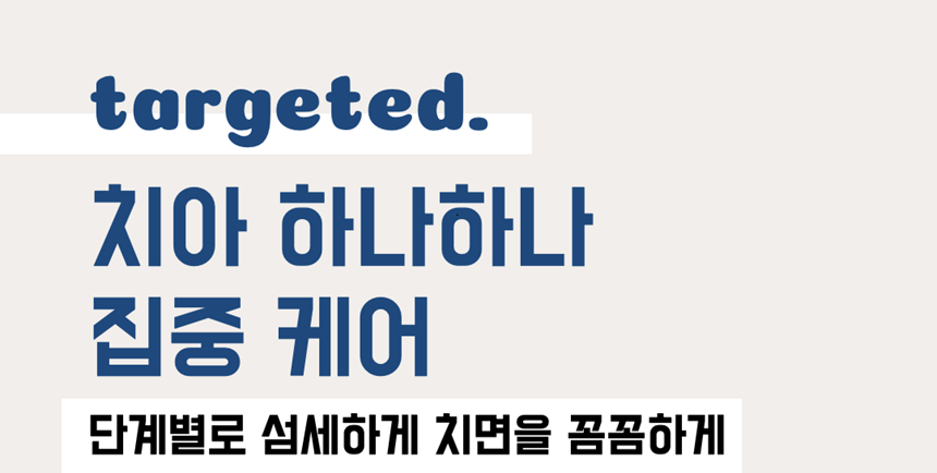 [NEW신상][무료배송] 네이처트레이스 독 스파이더웹 덴탈바 오리지널 20g*12ea 11번째