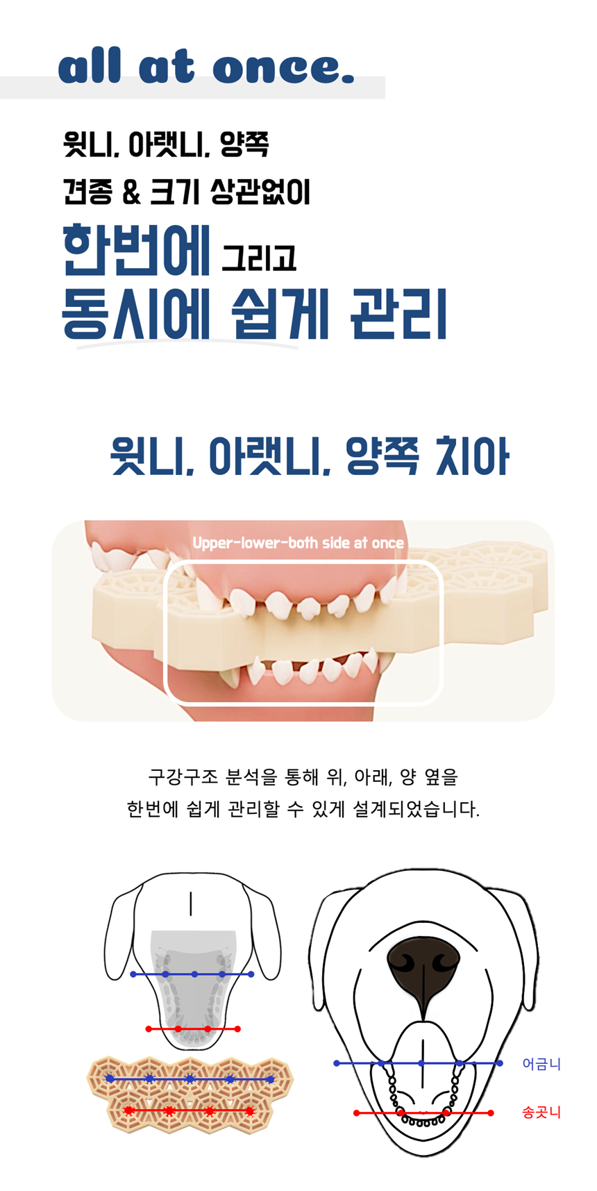 [NEW신상][무료배송] 네이처트레이스 독 스파이더웹 덴탈바 오리지널 20g*12ea 19번째