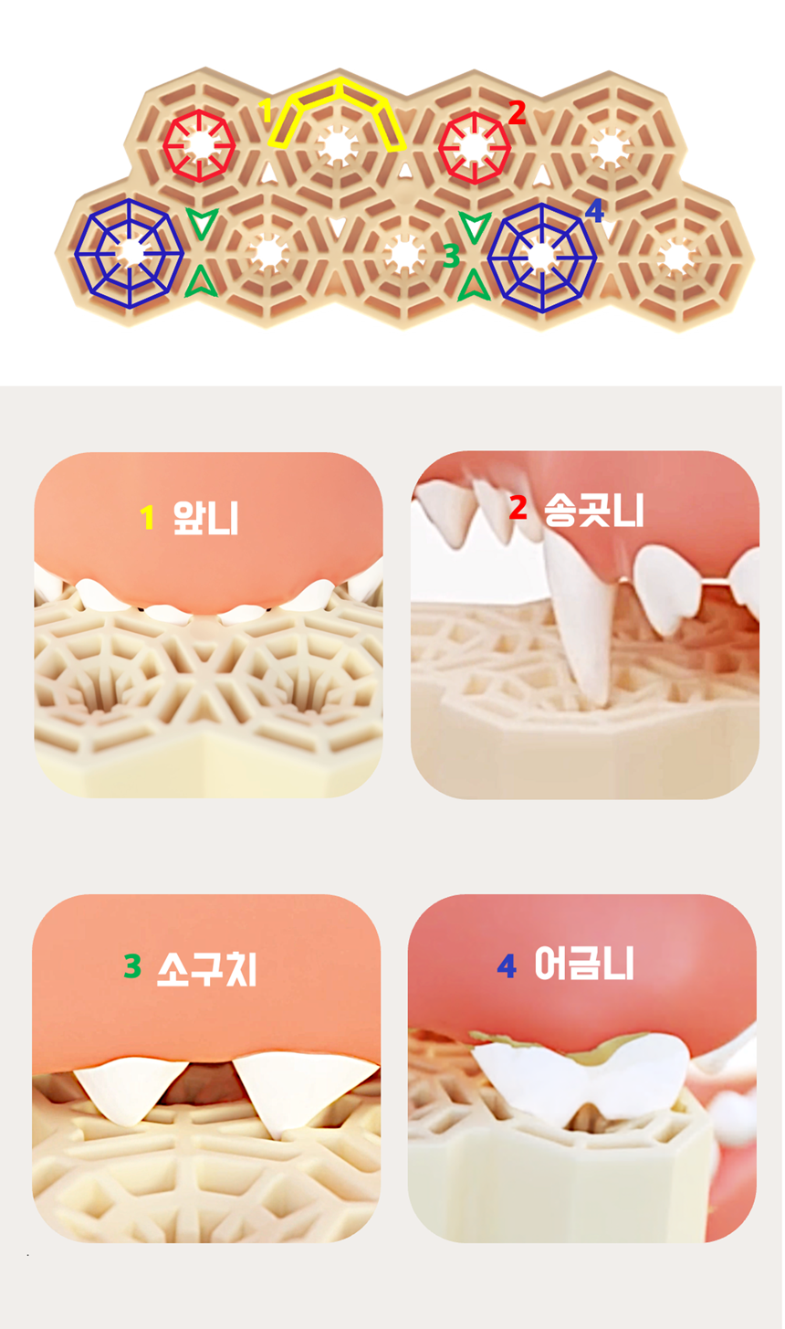 [NEW신상][무료배송] 네이처트레이스 독 스파이더웹 덴탈바 오리지널 20g*12ea 10번째