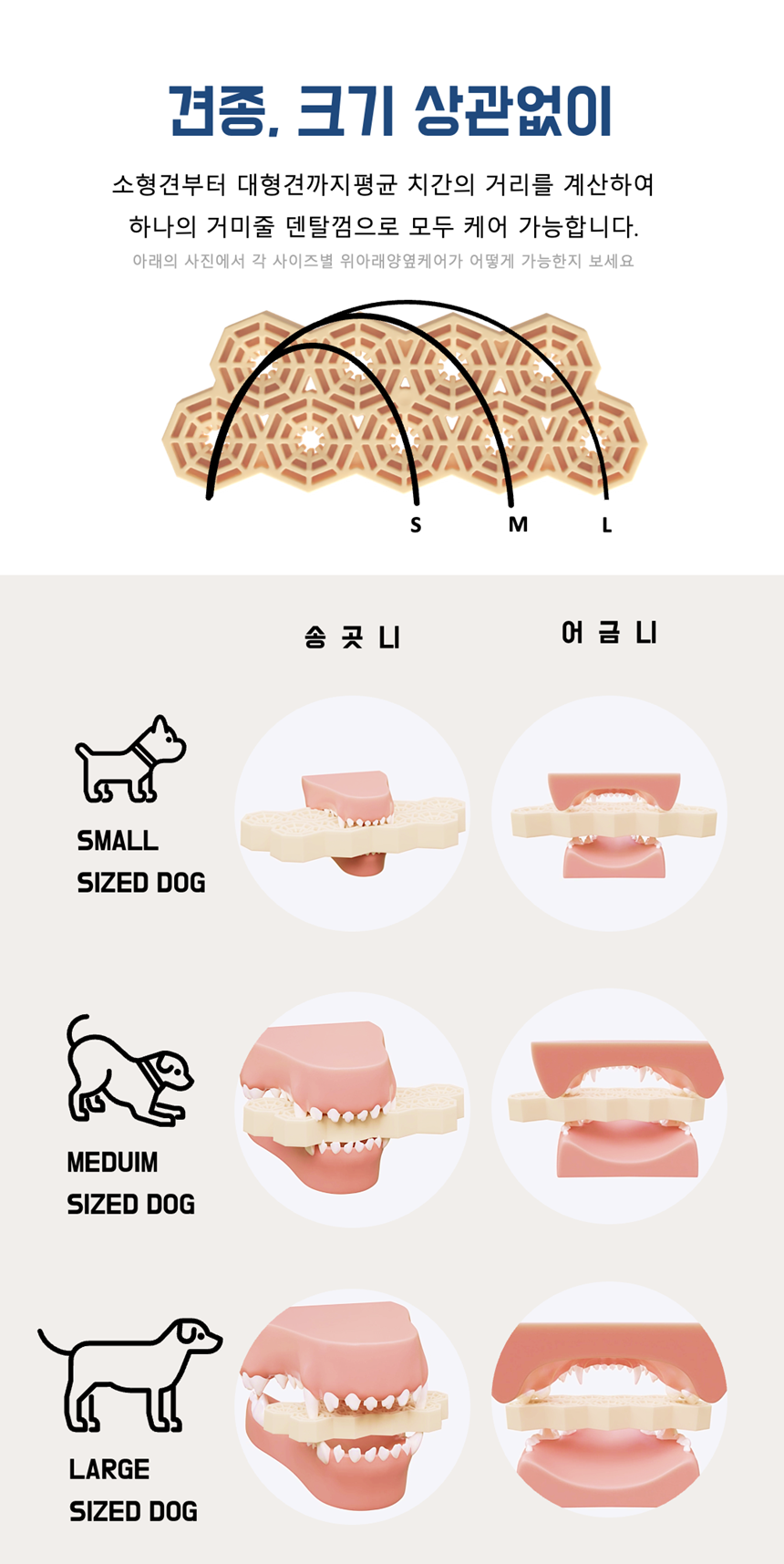[NEW신상][무료배송] 네이처트레이스 독 스파이더웹 덴탈바 오리지널 20g*12ea 21번째