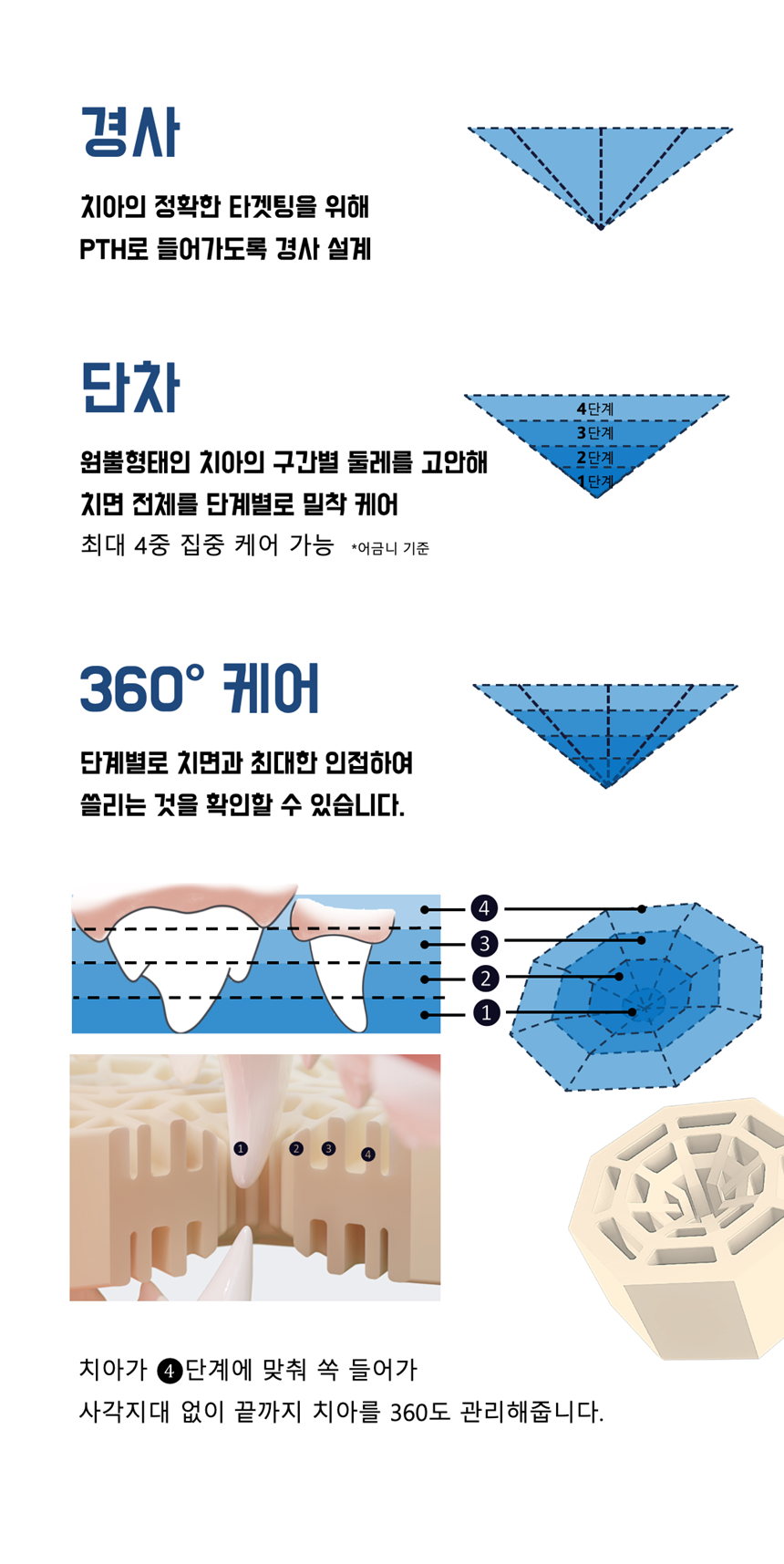 [NEW신상][무료배송] 네이처트레이스 독 스파이더웹 덴탈바 오리지널 20g*12ea 15번째