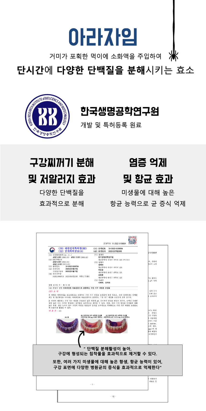 [NEW신상][무료배송] 네이처트레이스 독 스파이더웹 덴탈바 오리지널 20g*12ea 23번째