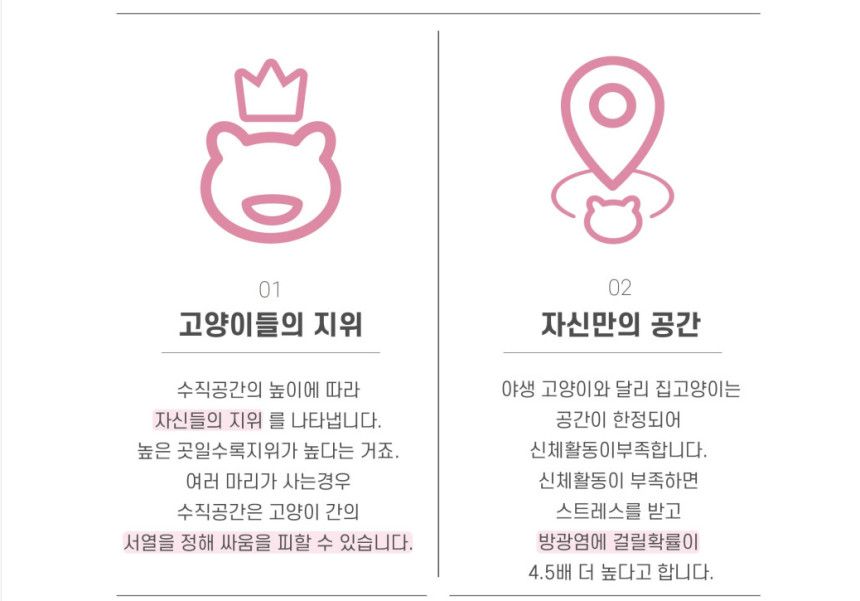 [무료배송] 집사의 반격 스타캣폴 SET 7번째