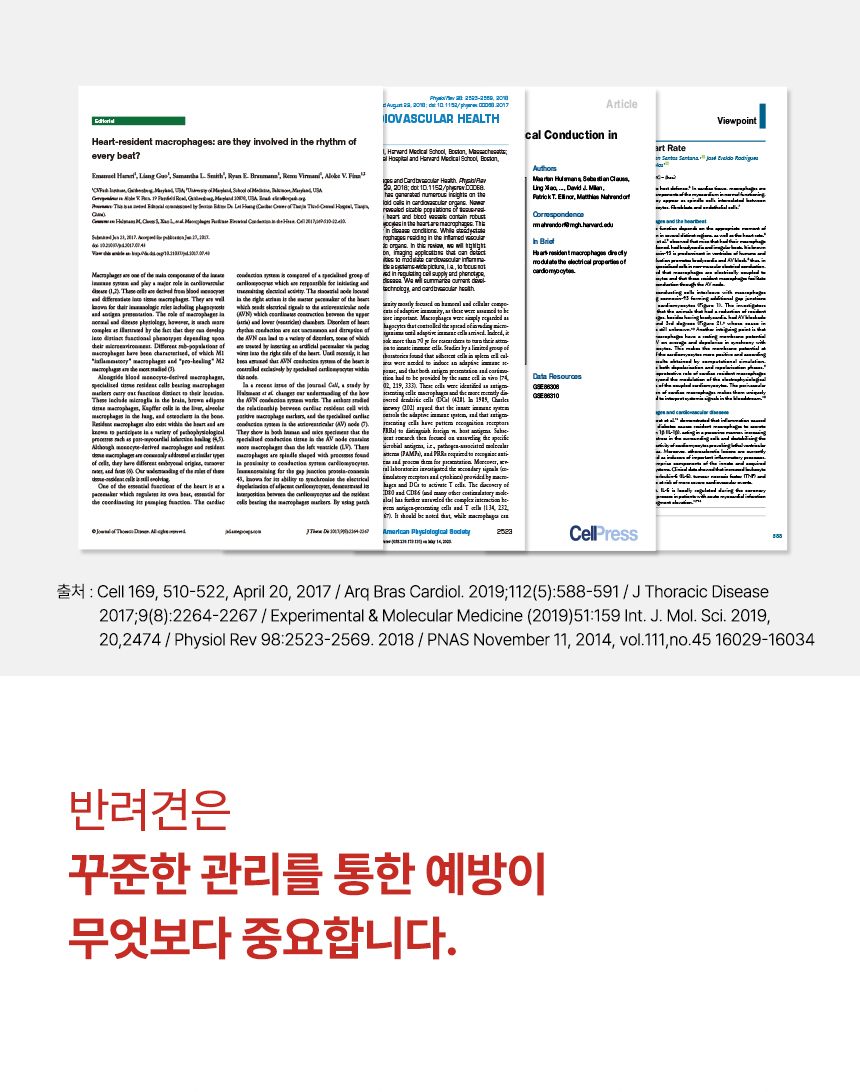 닥터포도그 심장영양제 하트케어 2g X 30ea 4번째