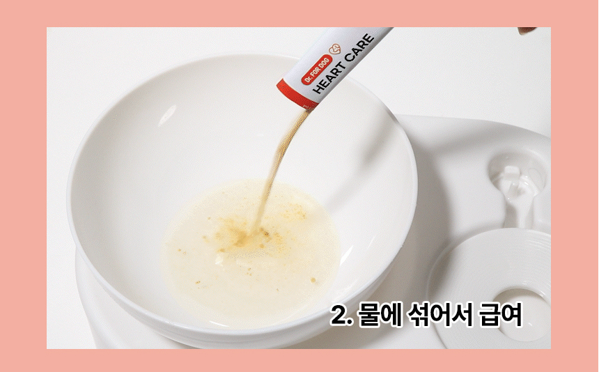 닥터포도그 심장영양제 하트케어 2g X 30ea 17번째