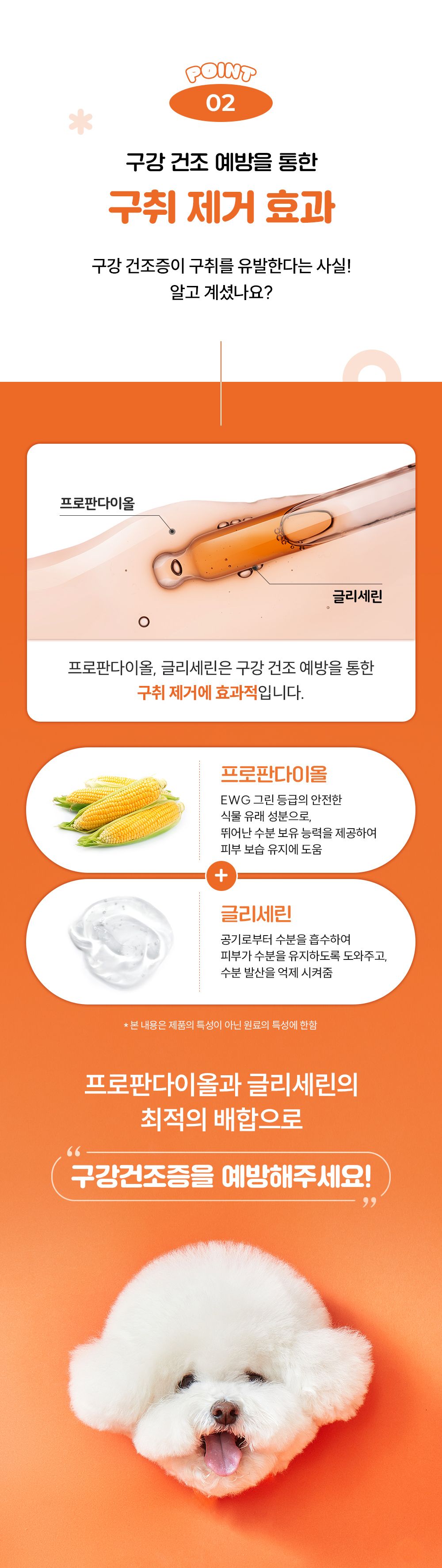 [브랜드전] 리스펫 뿌리는 구강청결제 100ml 13번째