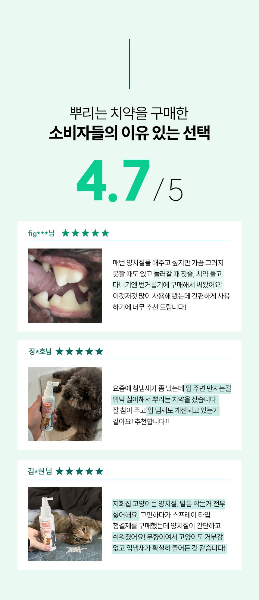 리스펫 뿌리는 구강청결제 100ml 2번째