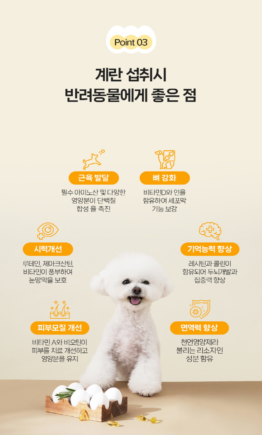 [무료배송] 베츠웰 에그랑 관절건강 50g 5pcs 5번째