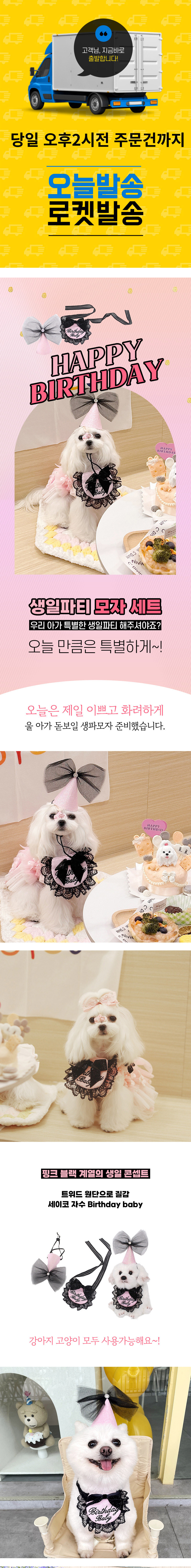 [무료배송] 예펫 생일 파티세트 1번째